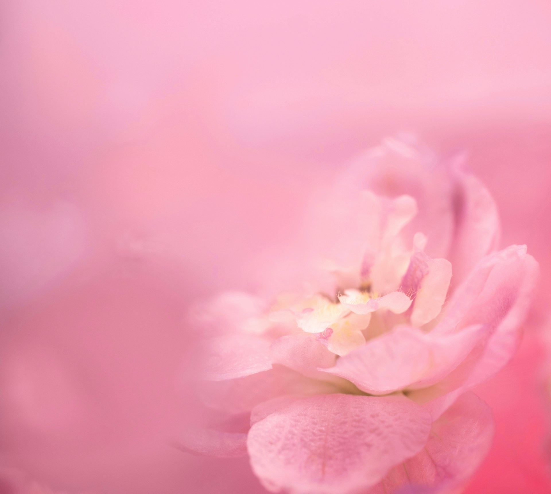 Anna Liski IREYB52Z Ng Unsplash