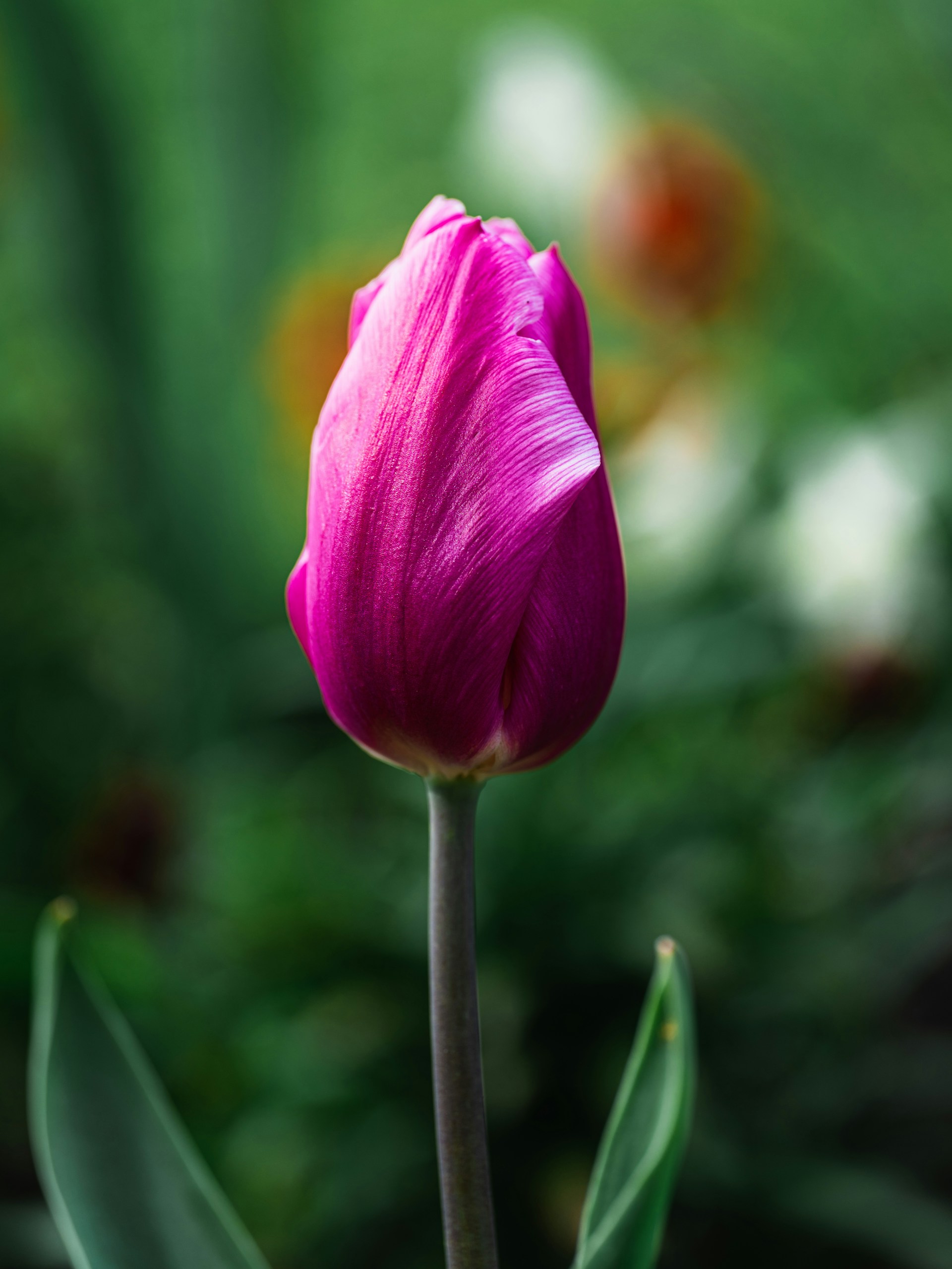 Bayo Adegunloye GPBjR H9w8M Unsplash 1