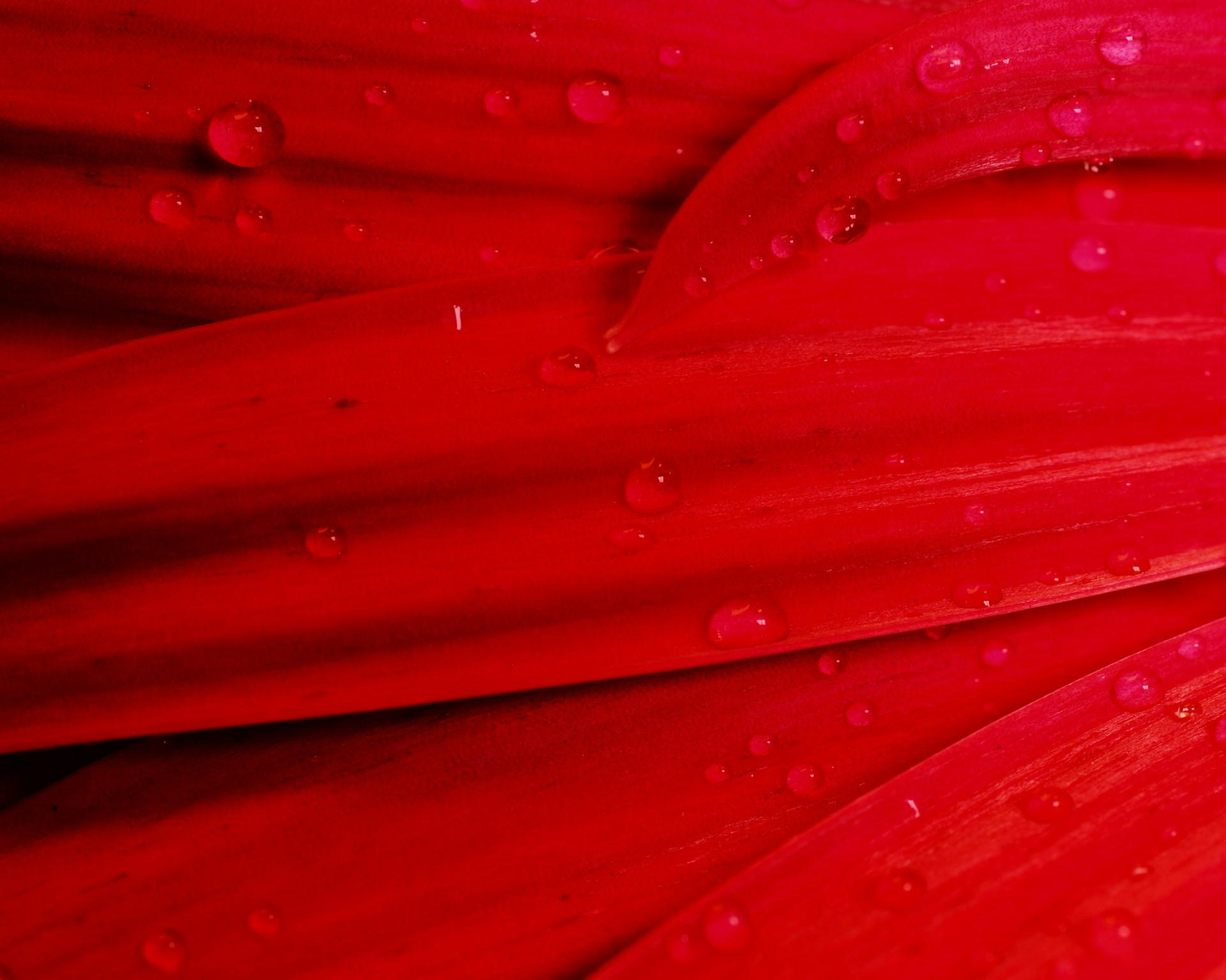 services-03 Damir Korotaj 4rEY5Z3f9is Unsplash