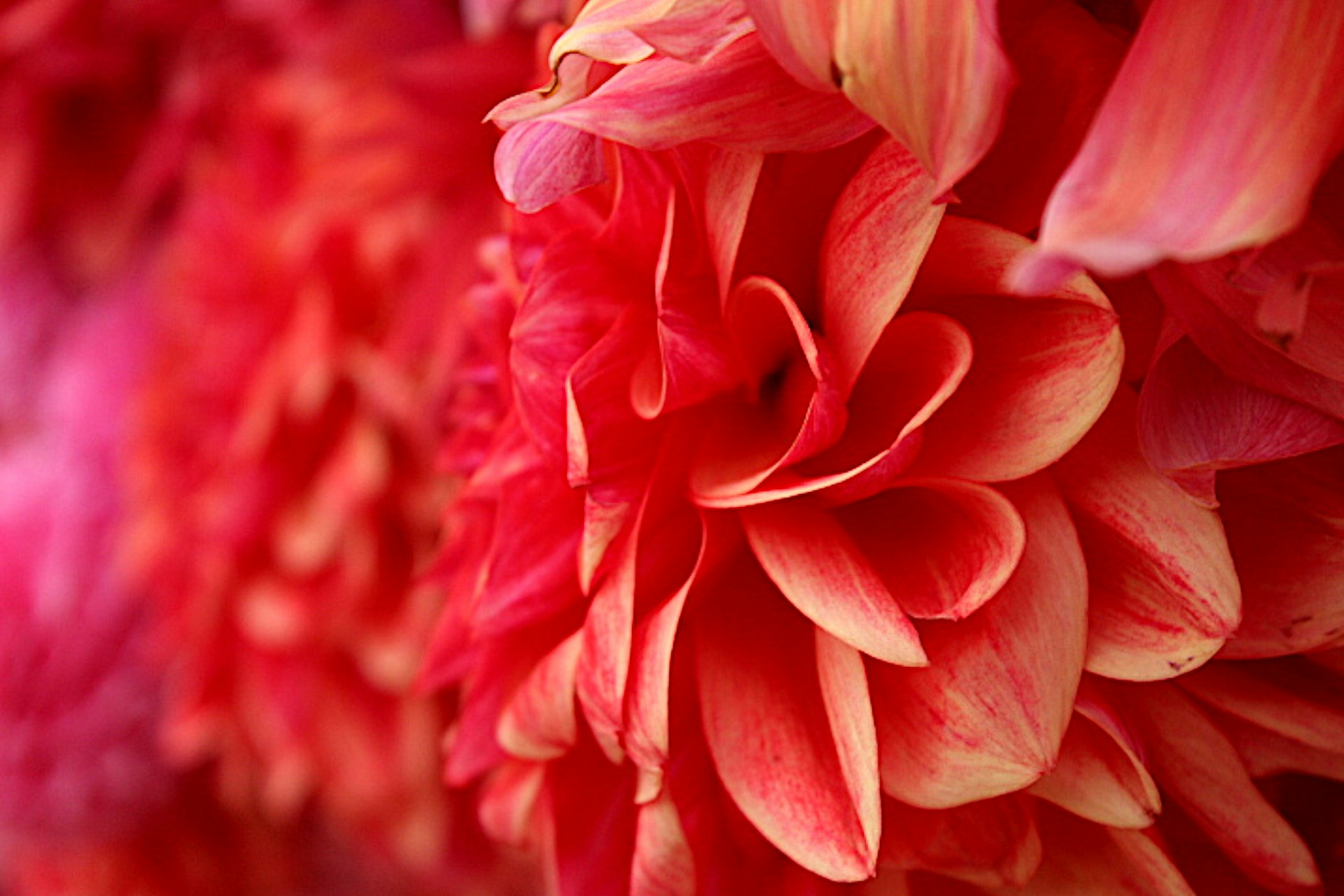 services-img Isaac Lind TcExrbLrrbU Unsplash