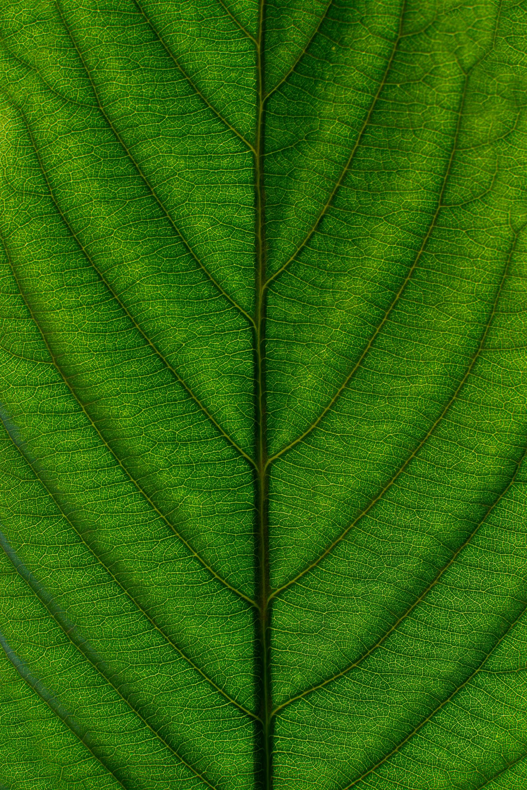 gallery-4 Messrro CyMS188f2nQ Unsplash Scaled