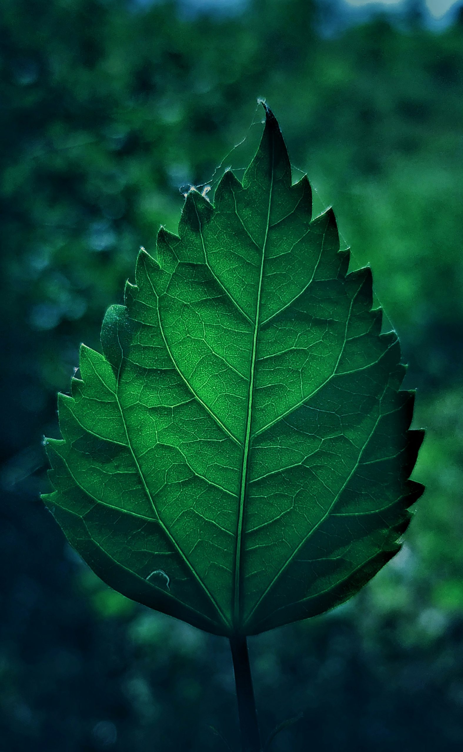 gallery-3 P Anosh UN0M5eh2Kq0 Unsplash Scaled